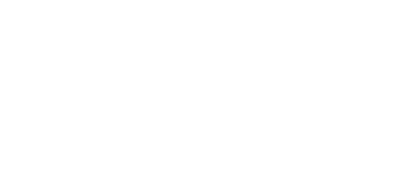 Smith Insurance Group Chicago - Logo 800 White